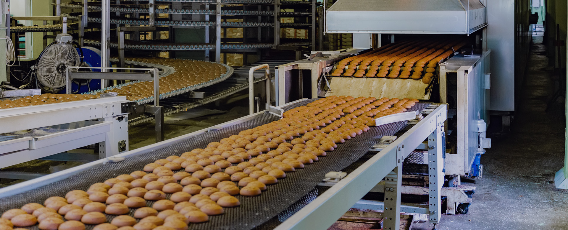 Procesamiento y envasado de alimentos