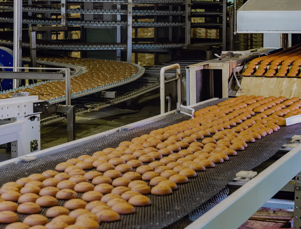 Procesamiento y envasado de alimentos