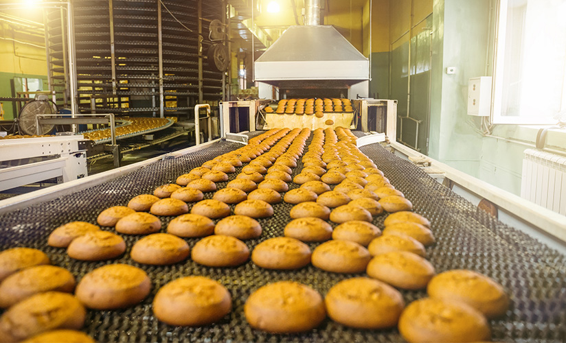 Procesamiento y envasado de alimentos